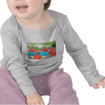 Caribbean Flamingos T Shirts