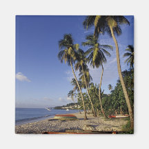 CARIBBEAN, Grenada, St. George, Boats on palm Refrigerator Magnets