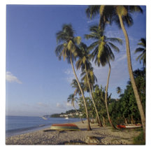 CARIBBEAN, Grenada, St. George, Boats on palm Tile