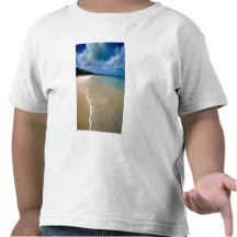 Caribbean, Leeward Islands, Antigua, Dickenson Tee Shirt