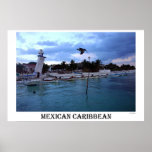 Caribbean Morning
