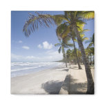 Caribbean - Trinidad - Manzanilla Beach on magnets