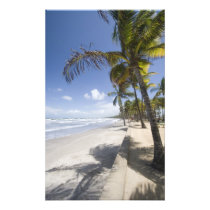 Caribbean - Trinidad - Manzanilla Beach on