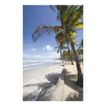 Caribbean - Trinidad - Manzanilla Beach on Art Photo