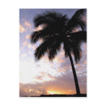 Caribbean, U.S. Virgin Islands, St.Thomas, 3 Post Card