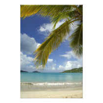 Caribbean, U.S. Virgin Islands, St.Thomas, 4 Photo Art