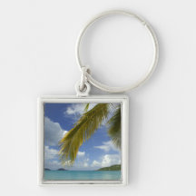 Caribbean, U.S. Virgin Islands, St.Thomas, Key Chains