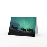 Caribou Greeting Cards