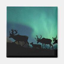 Caribou Fridge Magnet