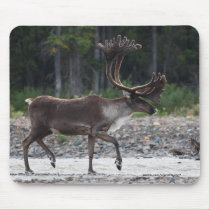Caribou mousepads