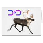 Caribou - Tuktu