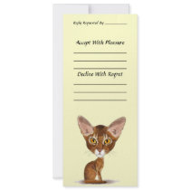 Caricature Abyssinian Invite
