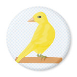 Carina Canary magnets