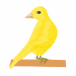 Carina Canary photo sculptures