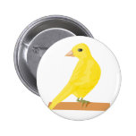 Carina Canary Pins