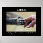 Caring posters