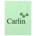 Carlin family flyers