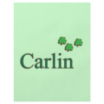 Carlin family flyers