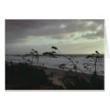 Carlsbad Beach cards