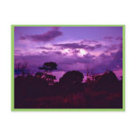 Carlsbad Caverns National Park Postcards