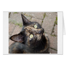 Carmen Greeting Cards