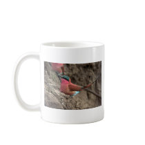 Carmine Bee-Eater Mug