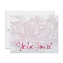 Carnation Background