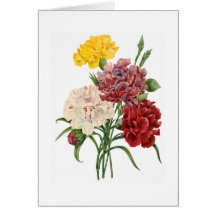 Carnation Get Well Soon Greeting Card