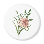 Carnation magnets