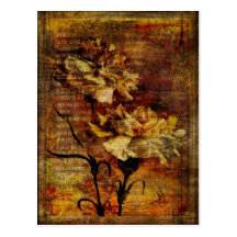 Carnation Rhapsody Postcards