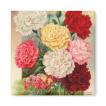 Carnations Seed Packet Magnet
