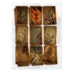 Carnival, Dragonflies, Trees Post Cards