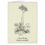 Carnivorous Plant Botanical Art cards