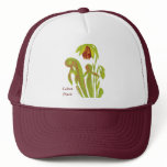 Carnivorous Plant Darlingtonia hats
