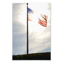 Carolina Americana Art Photo
