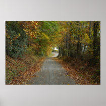 Carolina Backroads Poster