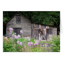 Carolina Cabin Greeting Card