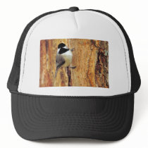 Carolina chickadee trucker hat