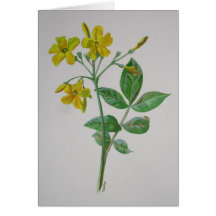 Carolina Jasmine Greeting Cards