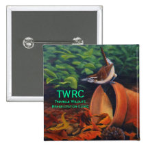 Carolina Wren, Triangle Wildlife Rehabilitation... Pins