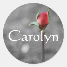 Carolyn Pink Rosebud Girls Name sticker