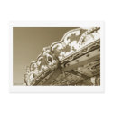 Carousel 10 Postcard