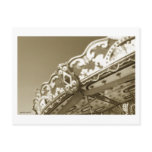 Carousel 10 Postcard