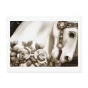 Carousel 13 Postcard