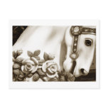 Carousel 13 Postcard
