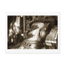 Carousel 24 Postcard