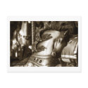 Carousel 24 Postcard