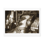 Carousel 24 Postcard