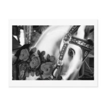 Carousel 25 Postcard