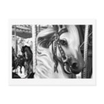 Carousel 27 Postcard